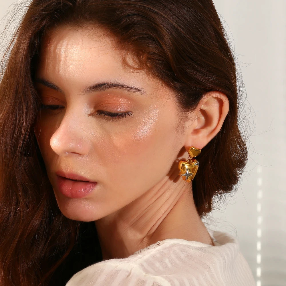 Stainless Steel Heart Star Earrings