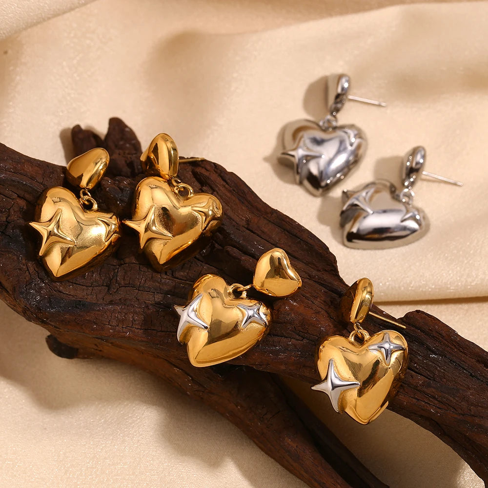 Stainless Steel Heart Star Earrings