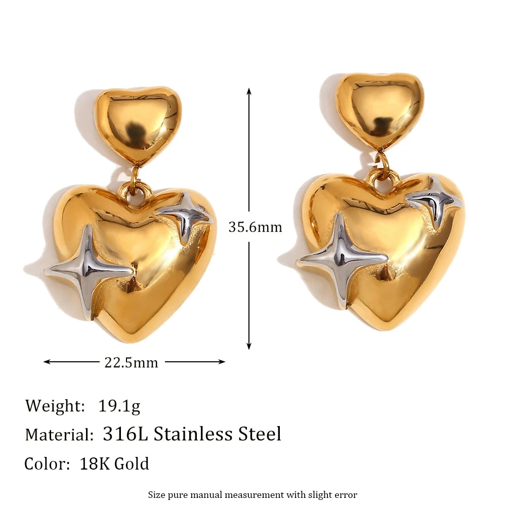 Stainless Steel Heart Star Earrings